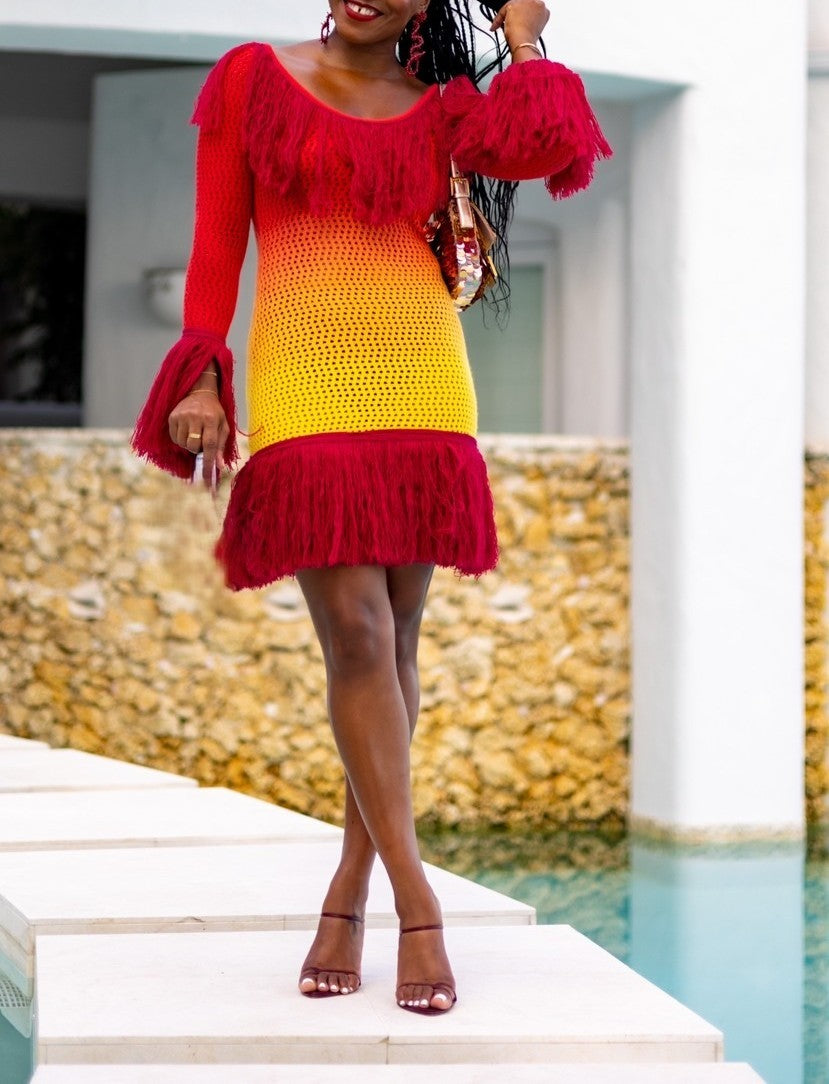 Fringe Knit Mini Dress