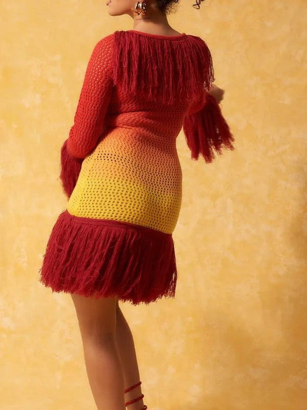 Fringe Knit Mini Dress