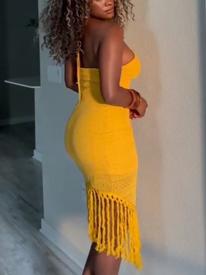 Fringe Tie Mesh Dress